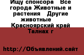 Ищу спонсора - Все города Животные и растения » Другие животные   . Красноярский край,Талнах г.